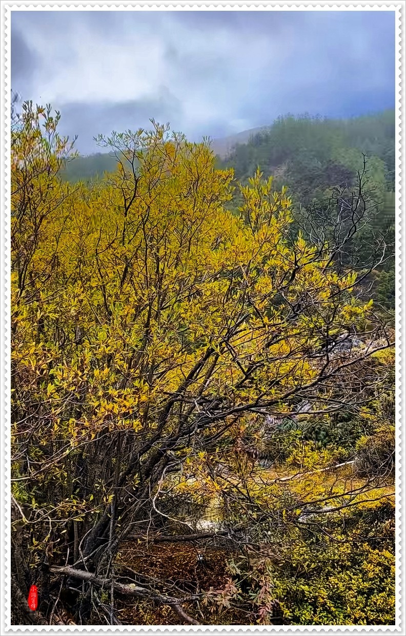 2022年稻城亚丁云拍-34