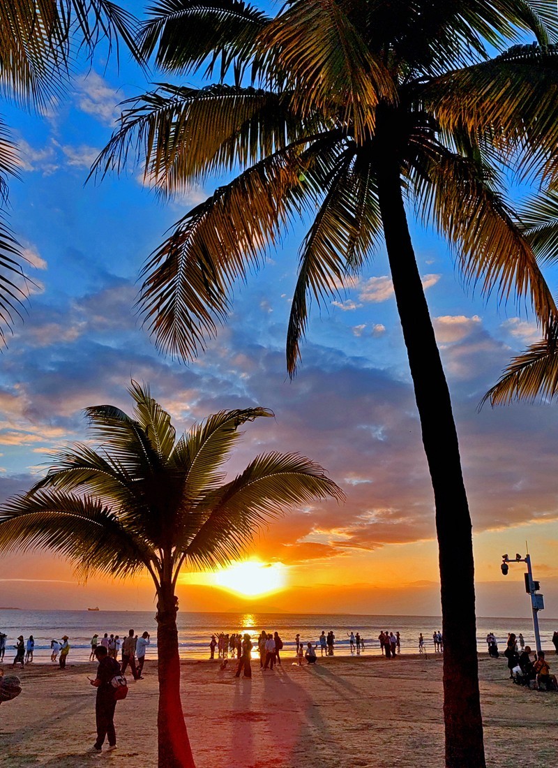 三亚椰梦长廊夕阳美231218(1)