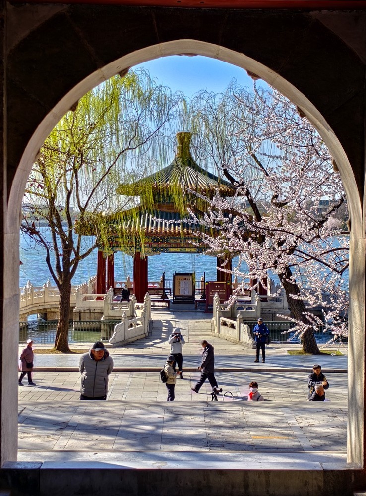 山桃花开（上）