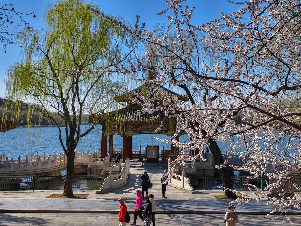 山桃花开（上）