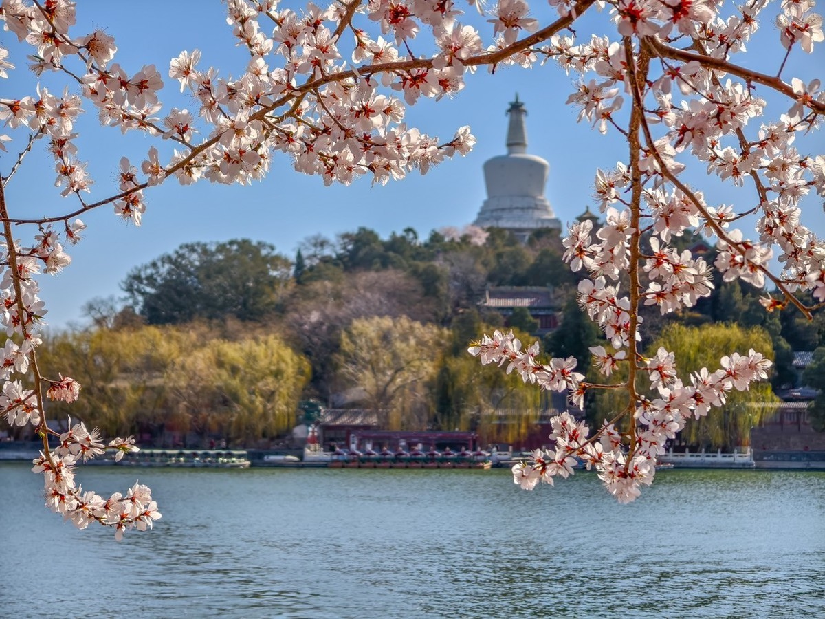 山桃花开（上）