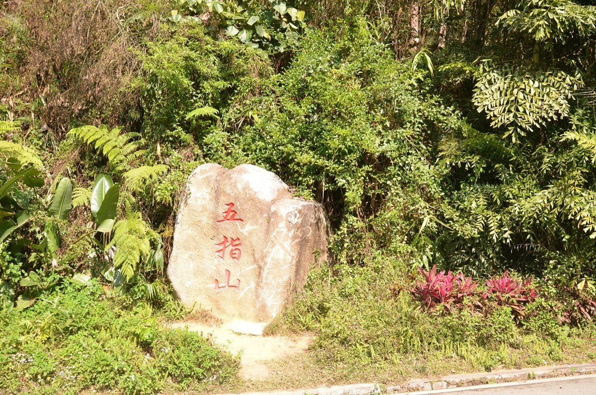海南 五指山(二)