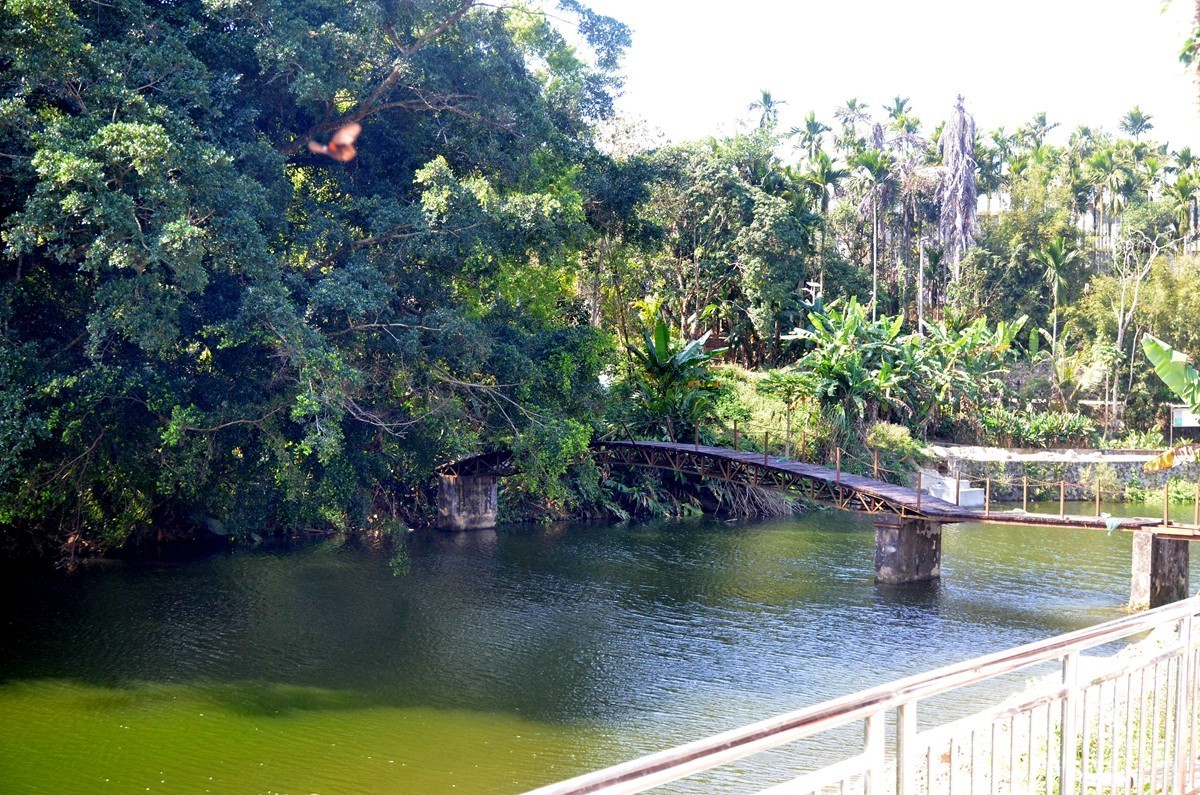 海南 五指山(二)