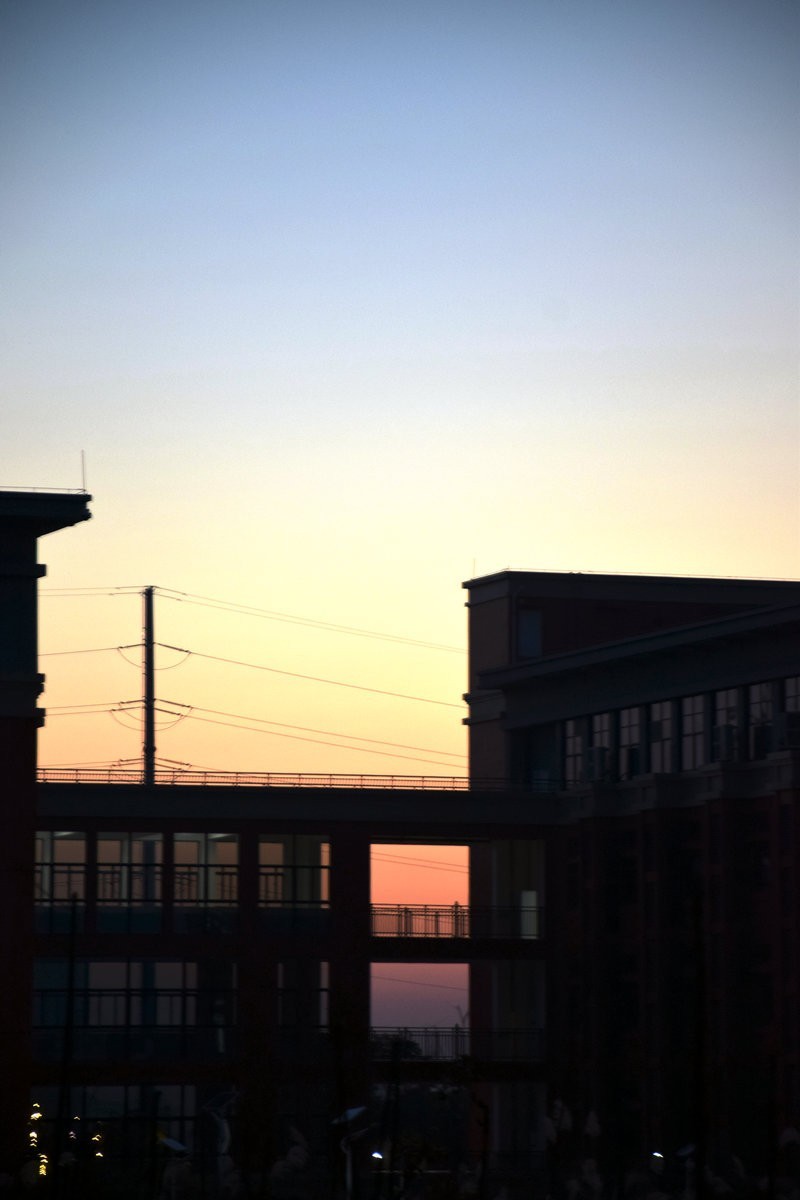 漫步星城 走街串巷（409）一亩叁分地