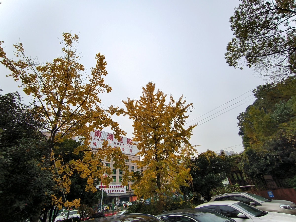 漫步星城 走街串巷（410）木材厂风云