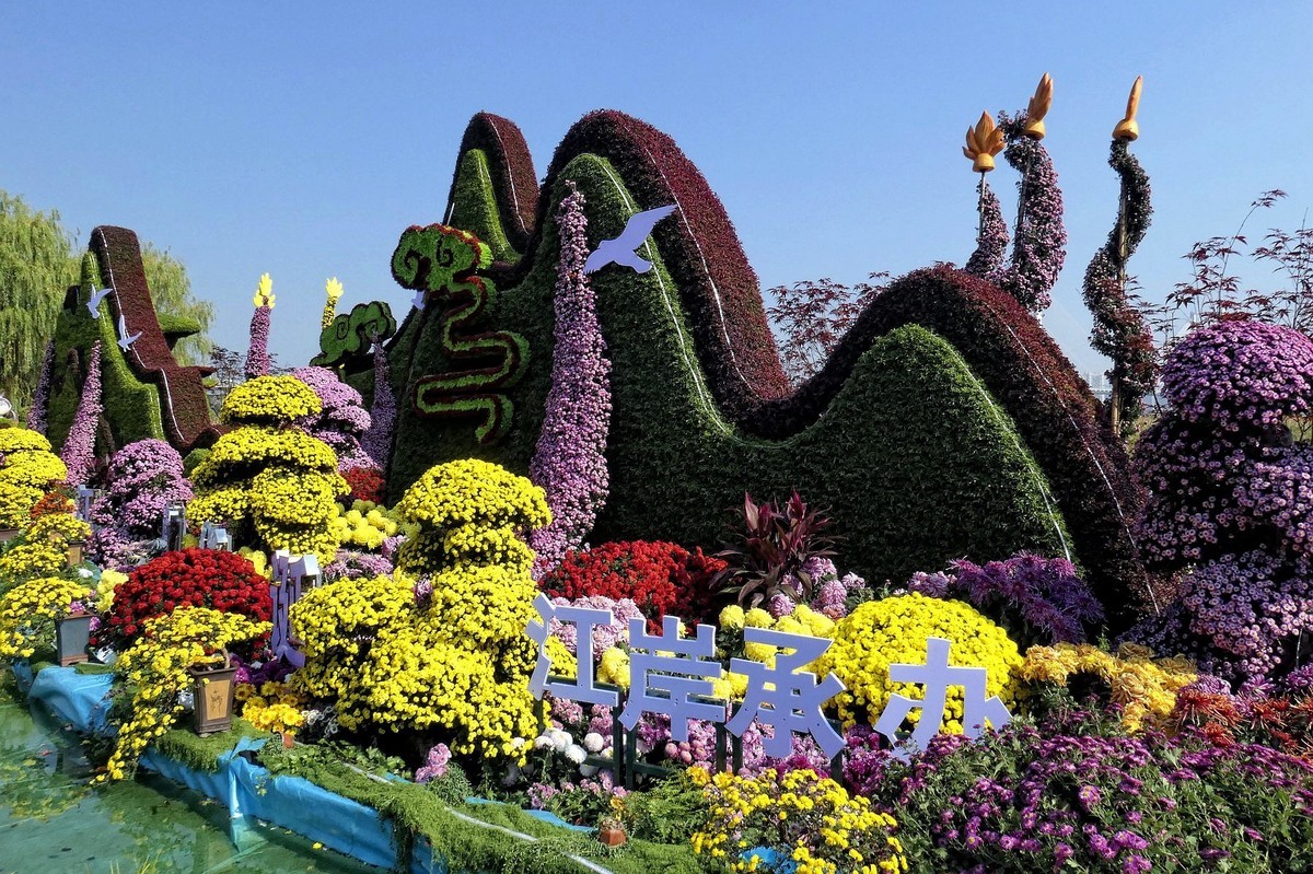 武汉江滩菊花展三