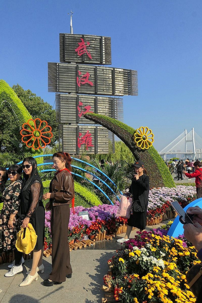 武汉江滩菊花展三