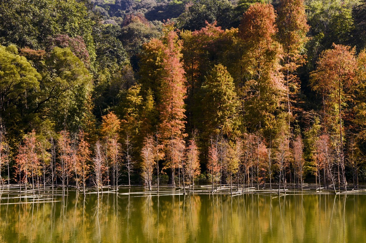 白云山冬日景色
