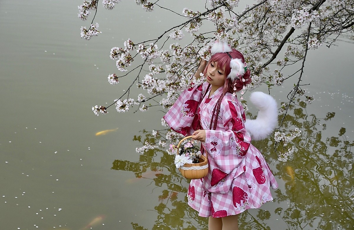 这年樱花最美---樱园蹭拍