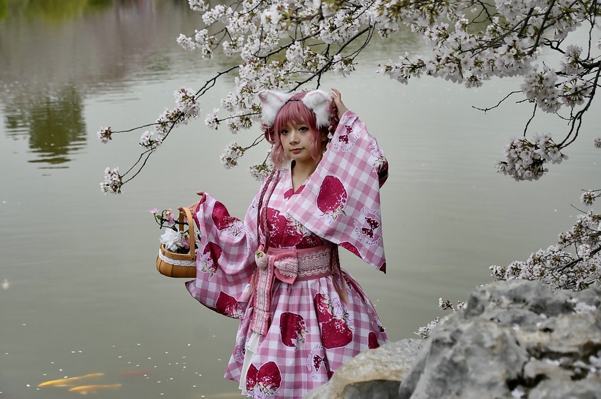 这年樱花最美---樱园蹭拍