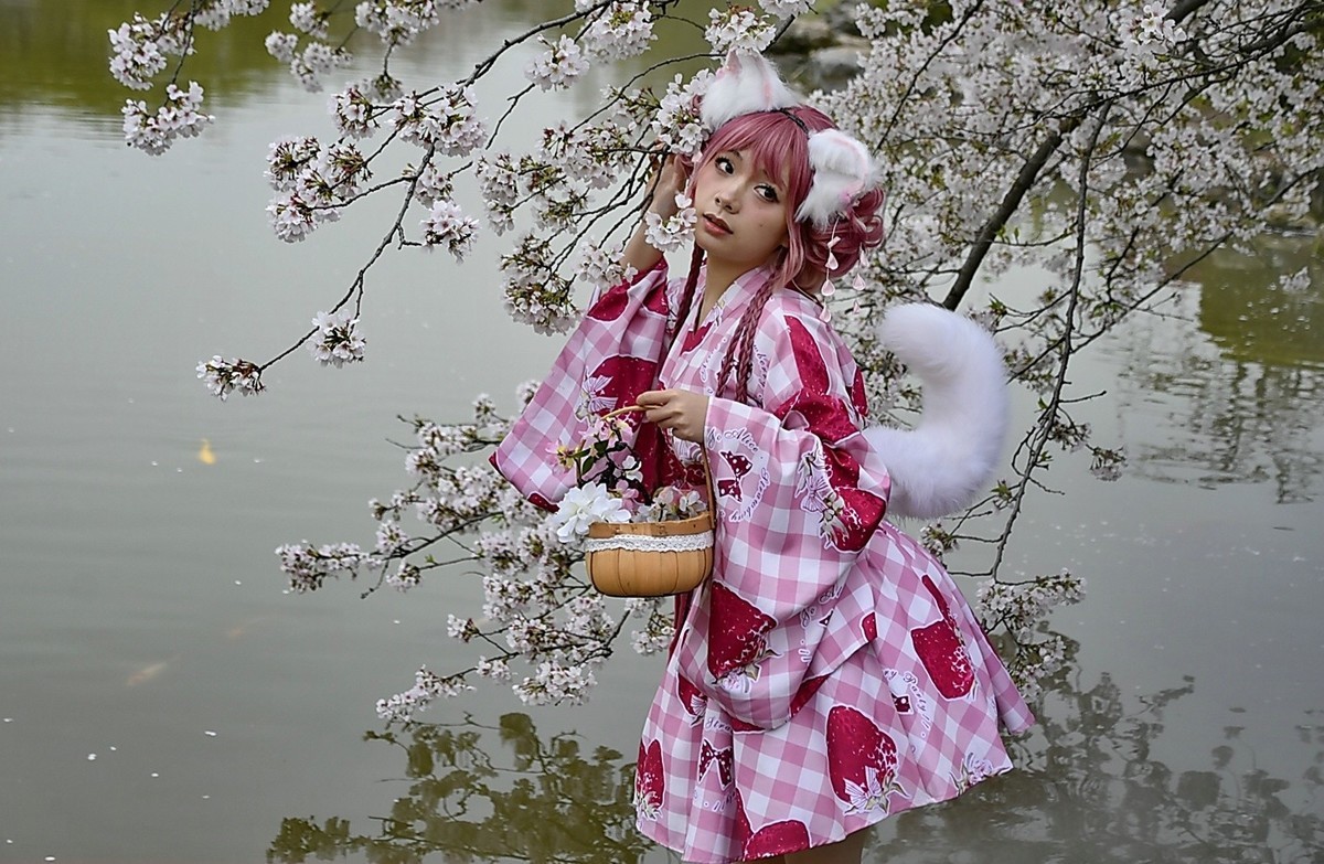 这年樱花最美---樱园蹭拍