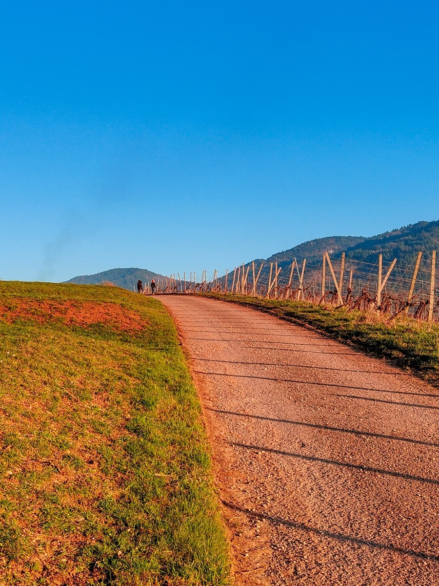 冬末“罗马山”（南德）