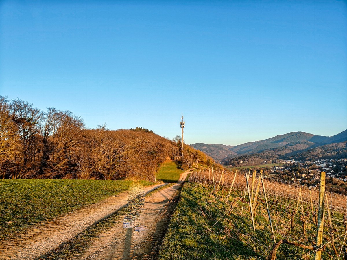 冬末“罗马山”（南德）