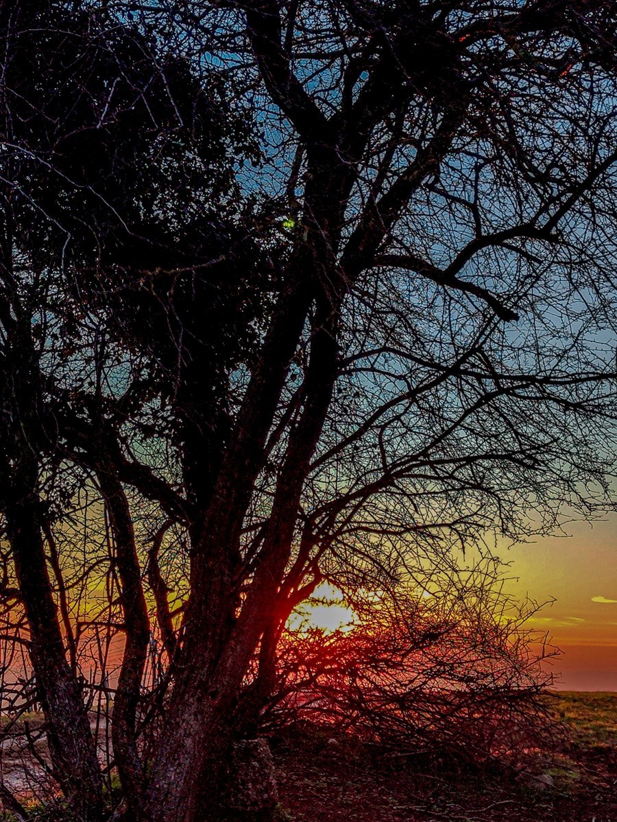 冬末“罗马山”（南德）