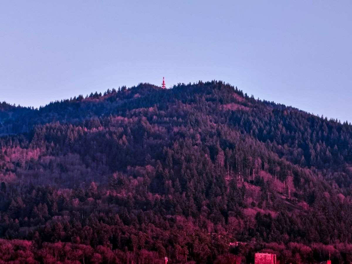 冬末“罗马山”（南德）