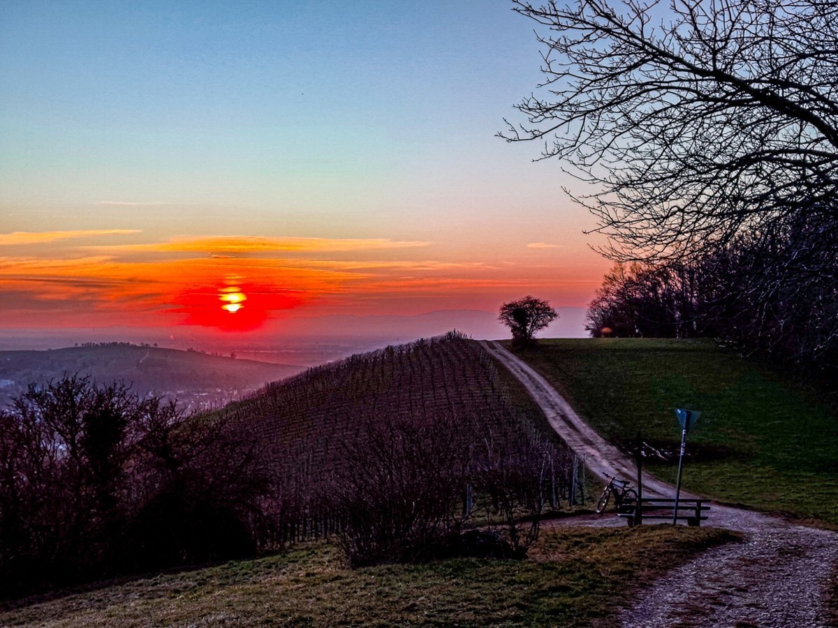 冬末“罗马山”（南德）