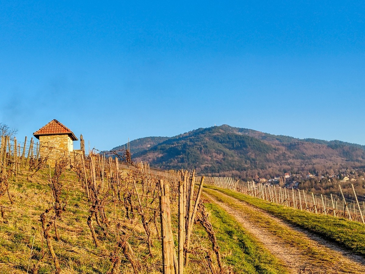 冬末“罗马山”（南德）