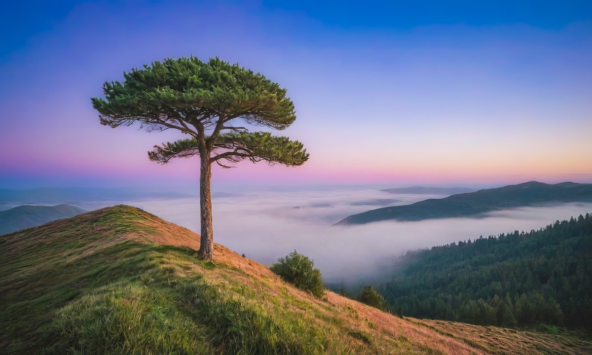 一次心灵的洗礼