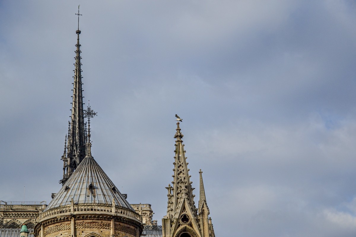 记忆“圣母大教堂”（巴黎）