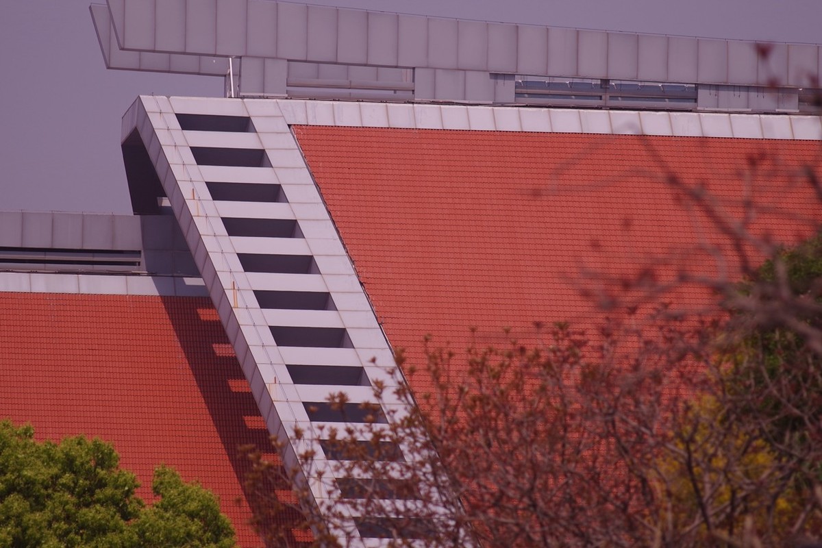 宾得F头试拍（二）