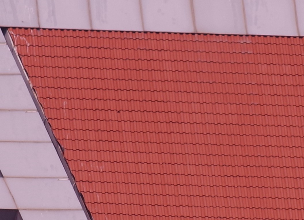 宾得F头试拍（二）