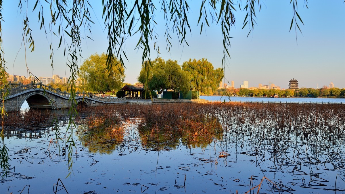 【视觉光影】泉 城 秋 色 （13）