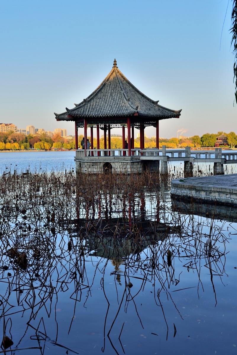 【视觉光影】泉 城 秋 色 （13）