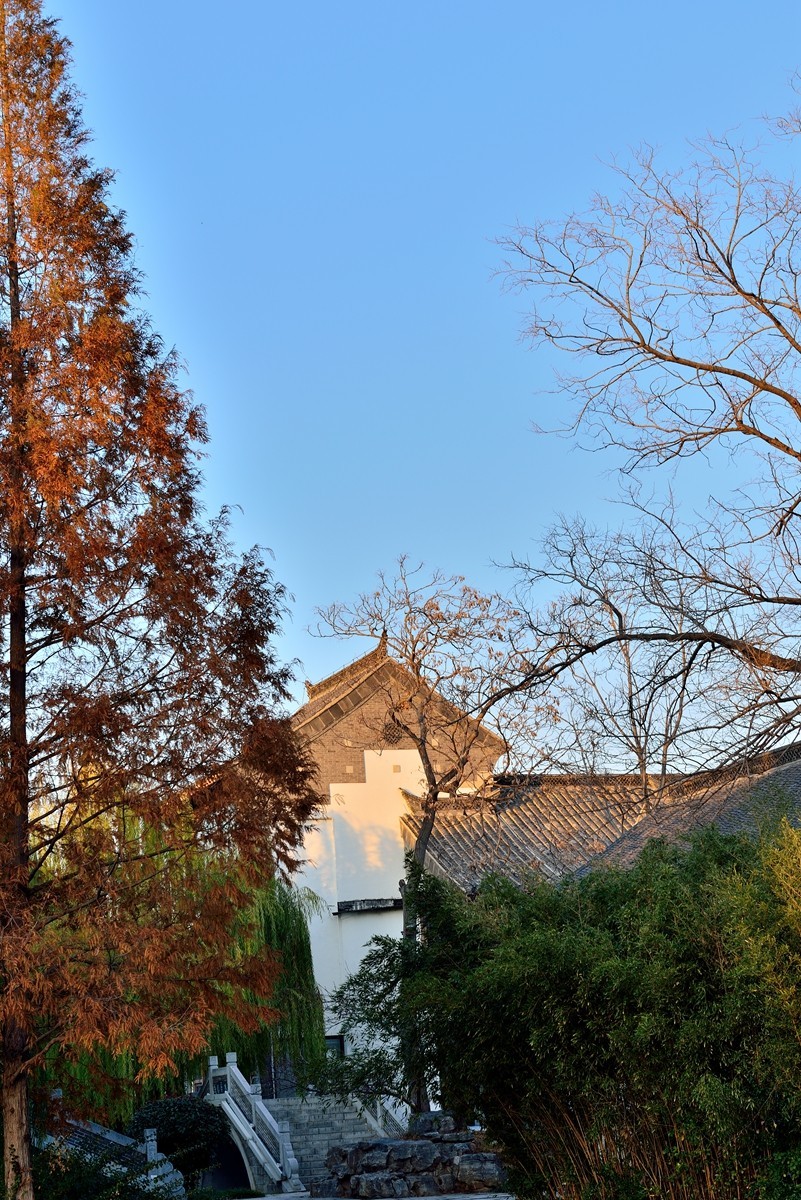 【视觉光影】泉 城 秋 色 （13）