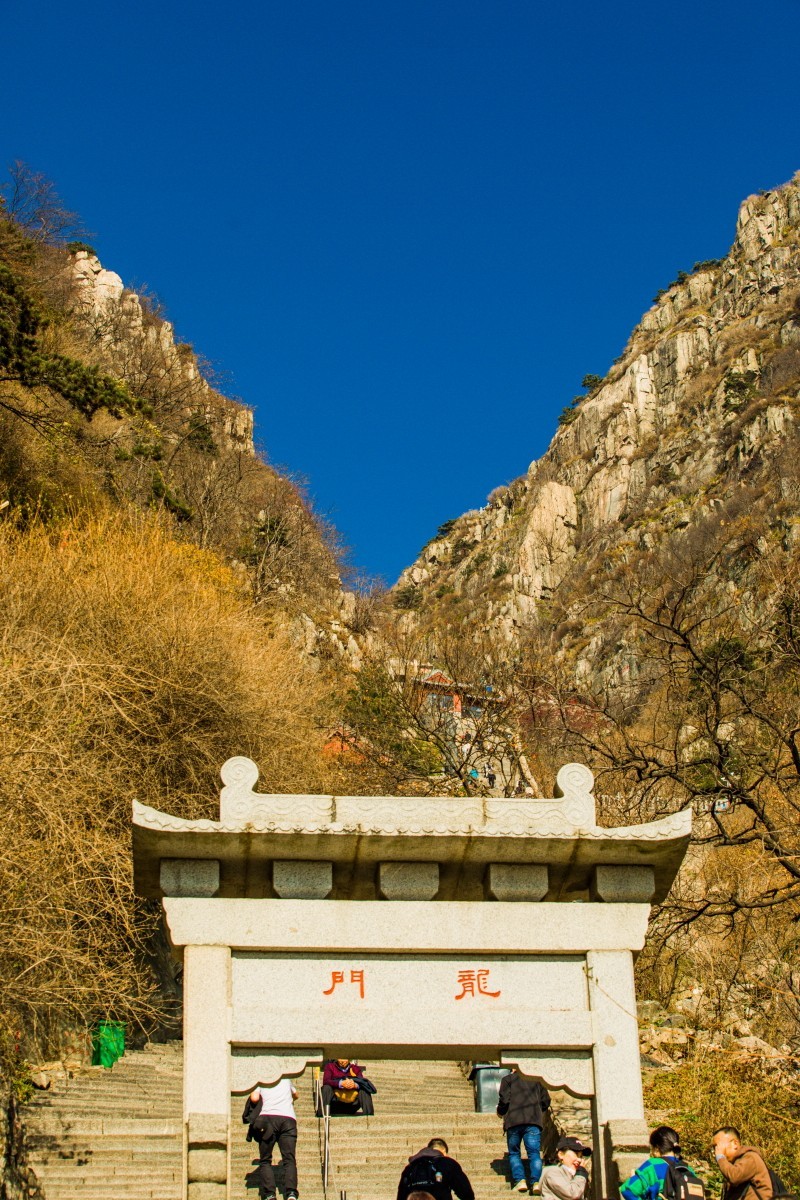 外出随拍（续374）.