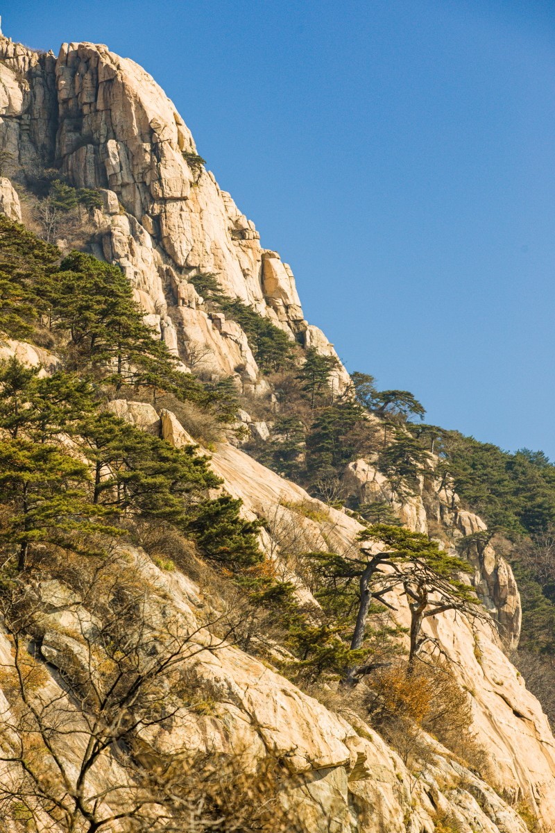 外出随拍（续374）.