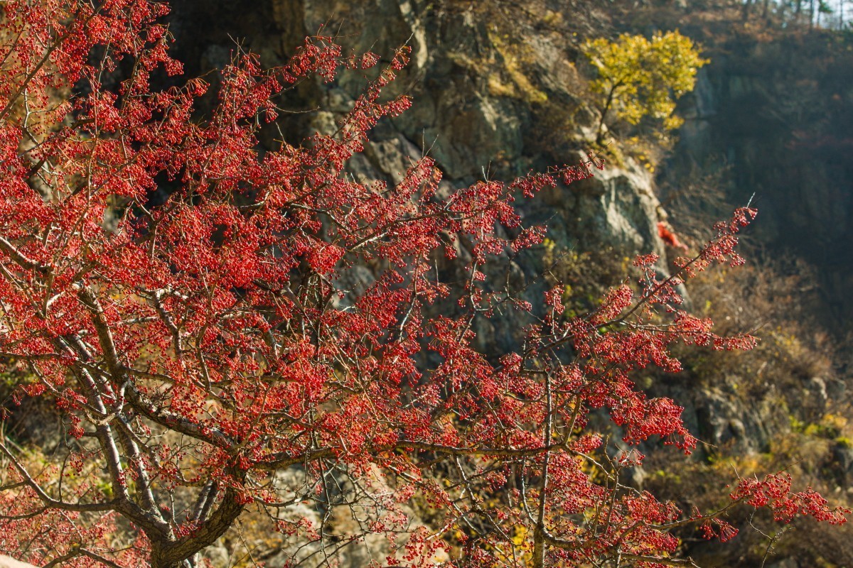 外出随拍（续374）.