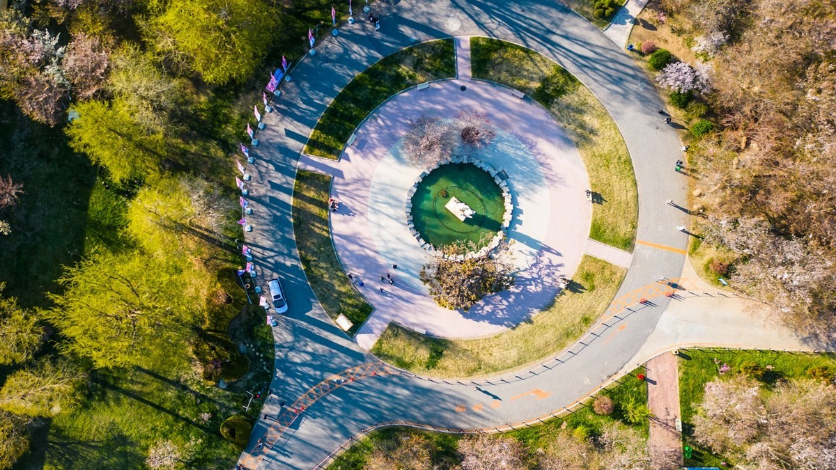 大 连 龙 王 塘 樱 花 园 （ 二 ）