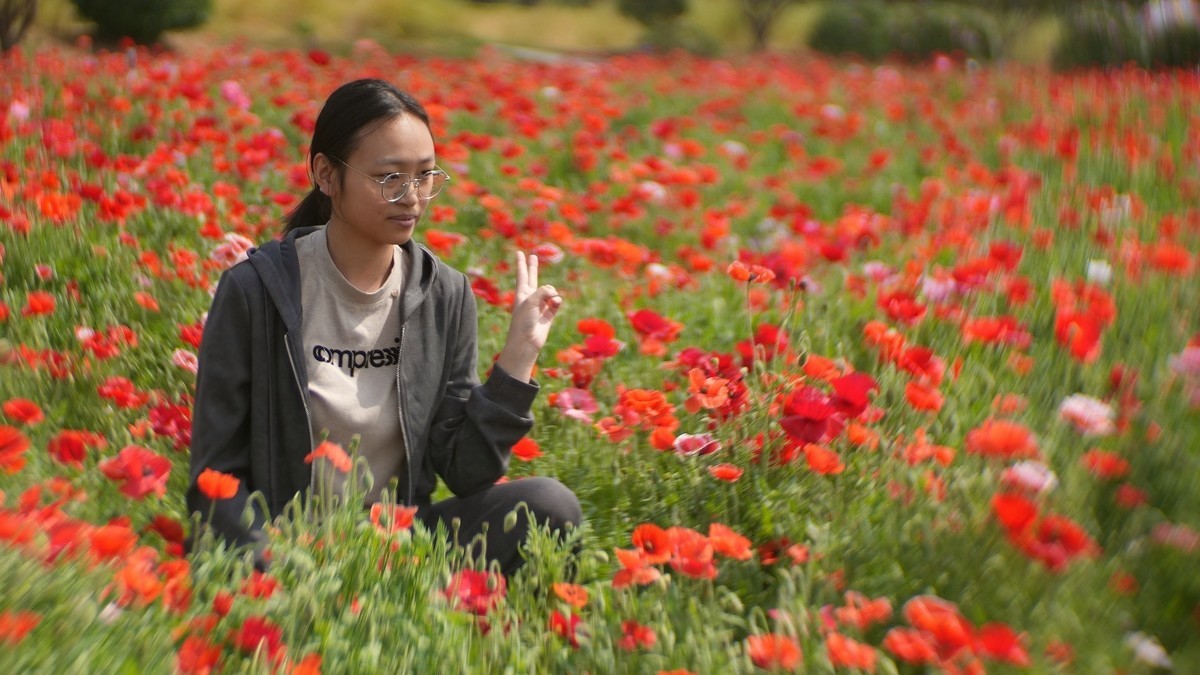 出游君乐宝牧场