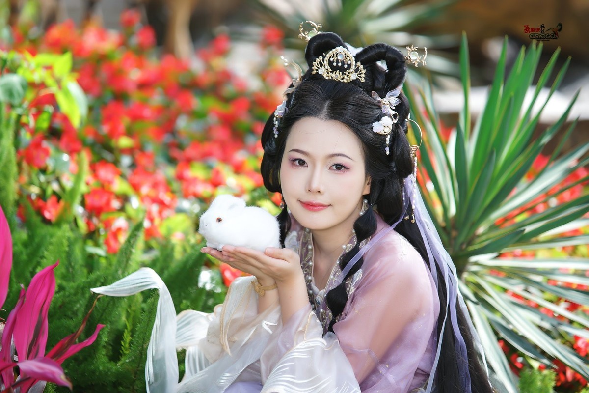 【紫月流光】---冰冰