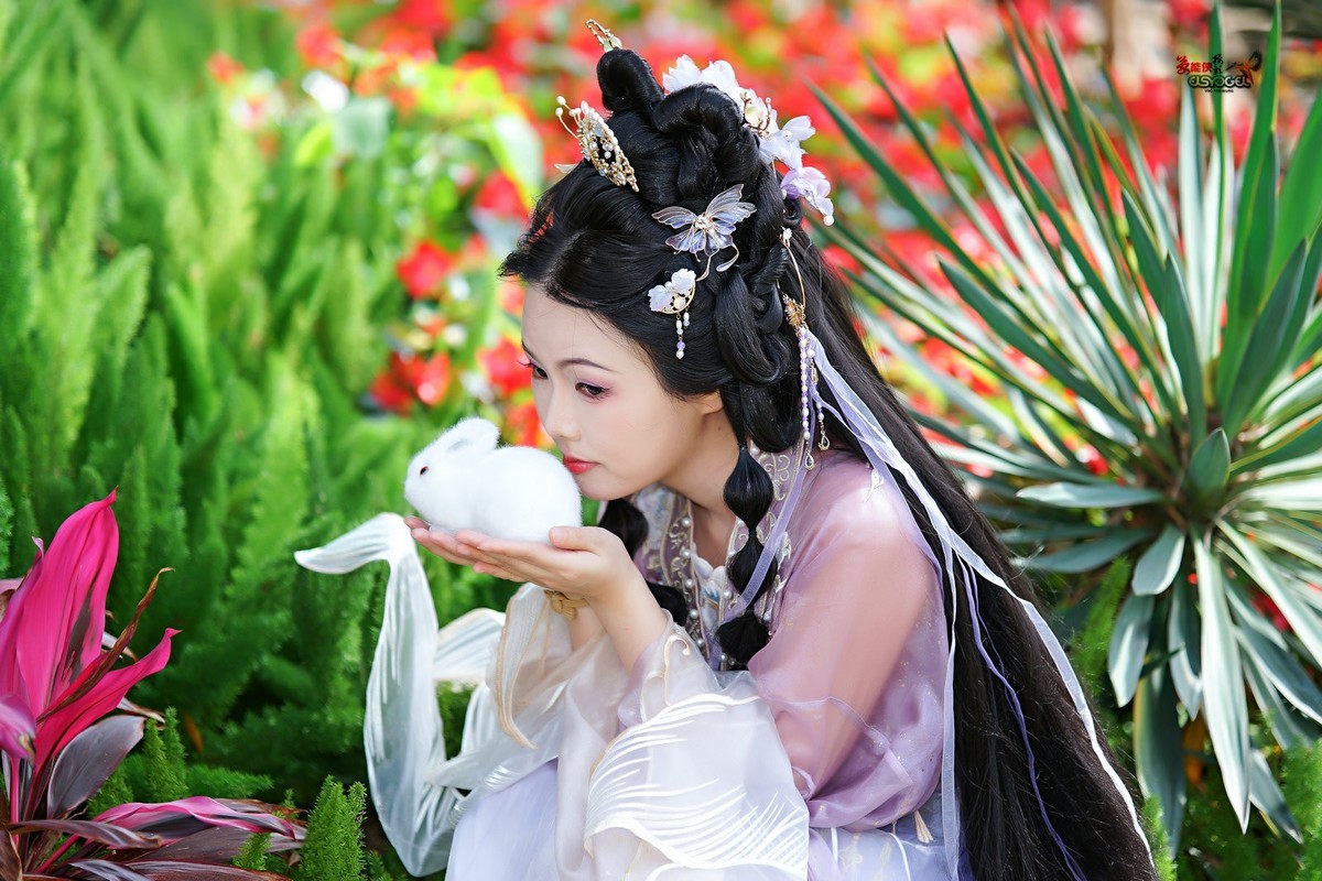 【紫月流光】---冰冰