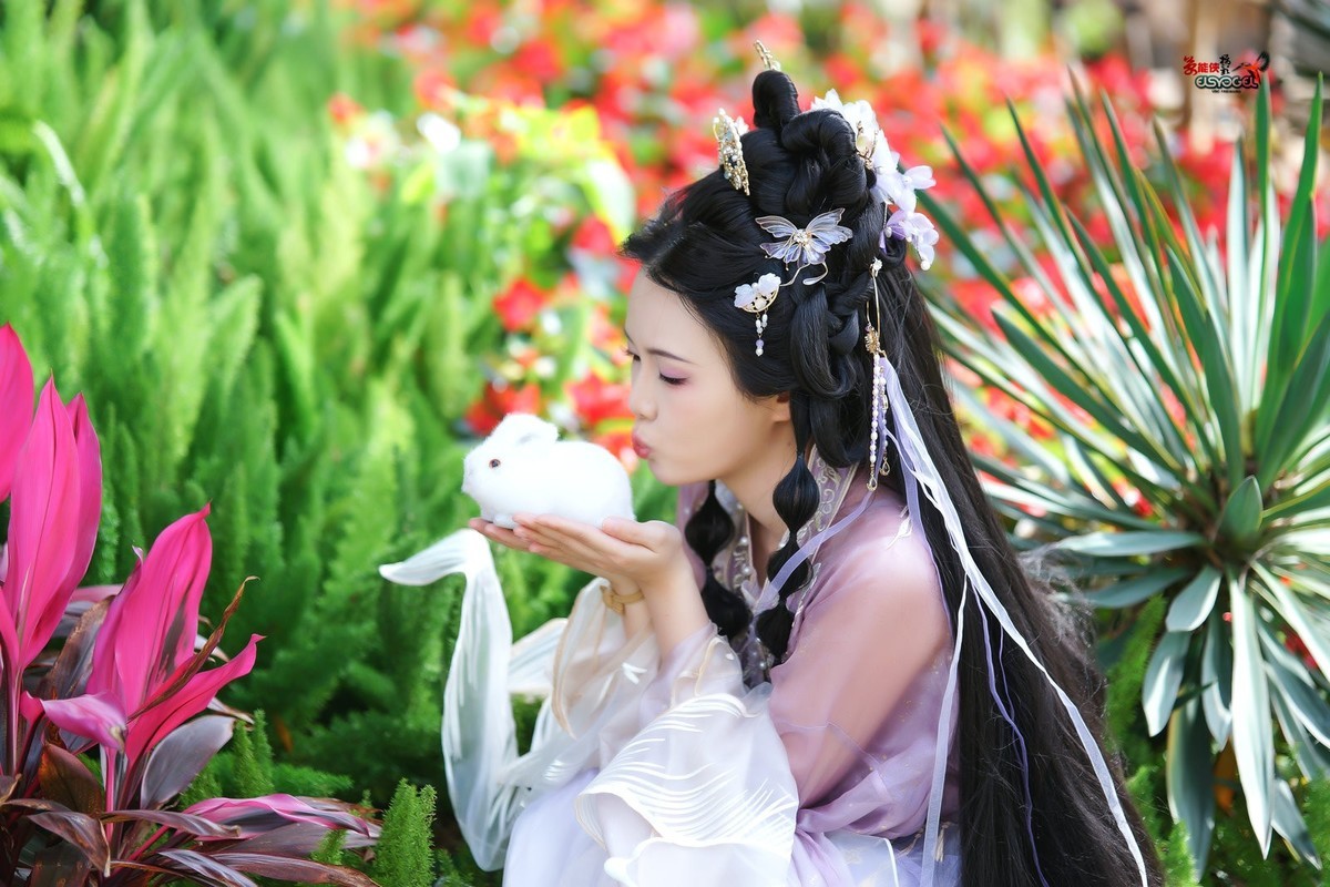 【紫月流光】---冰冰