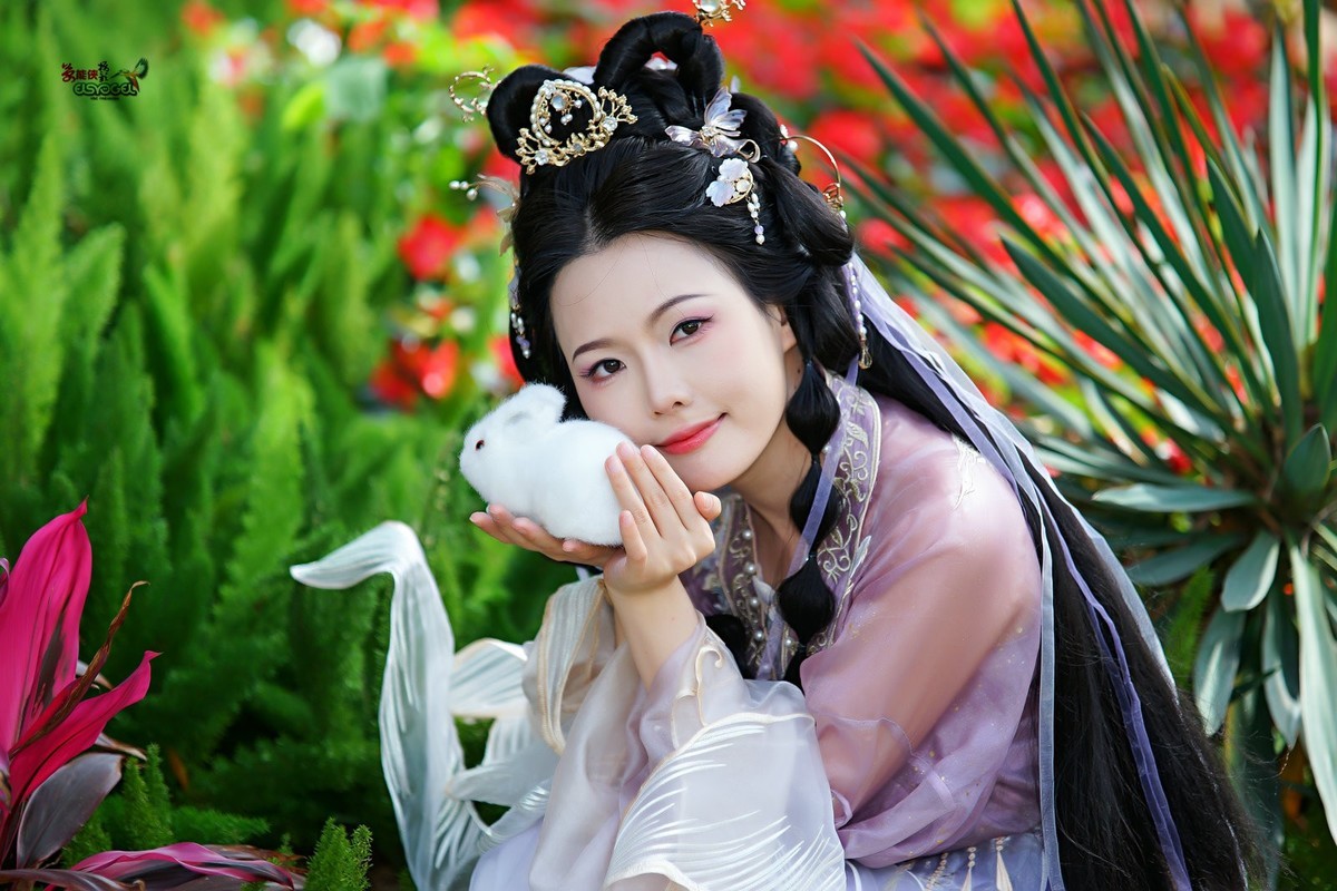 【紫月流光】---冰冰