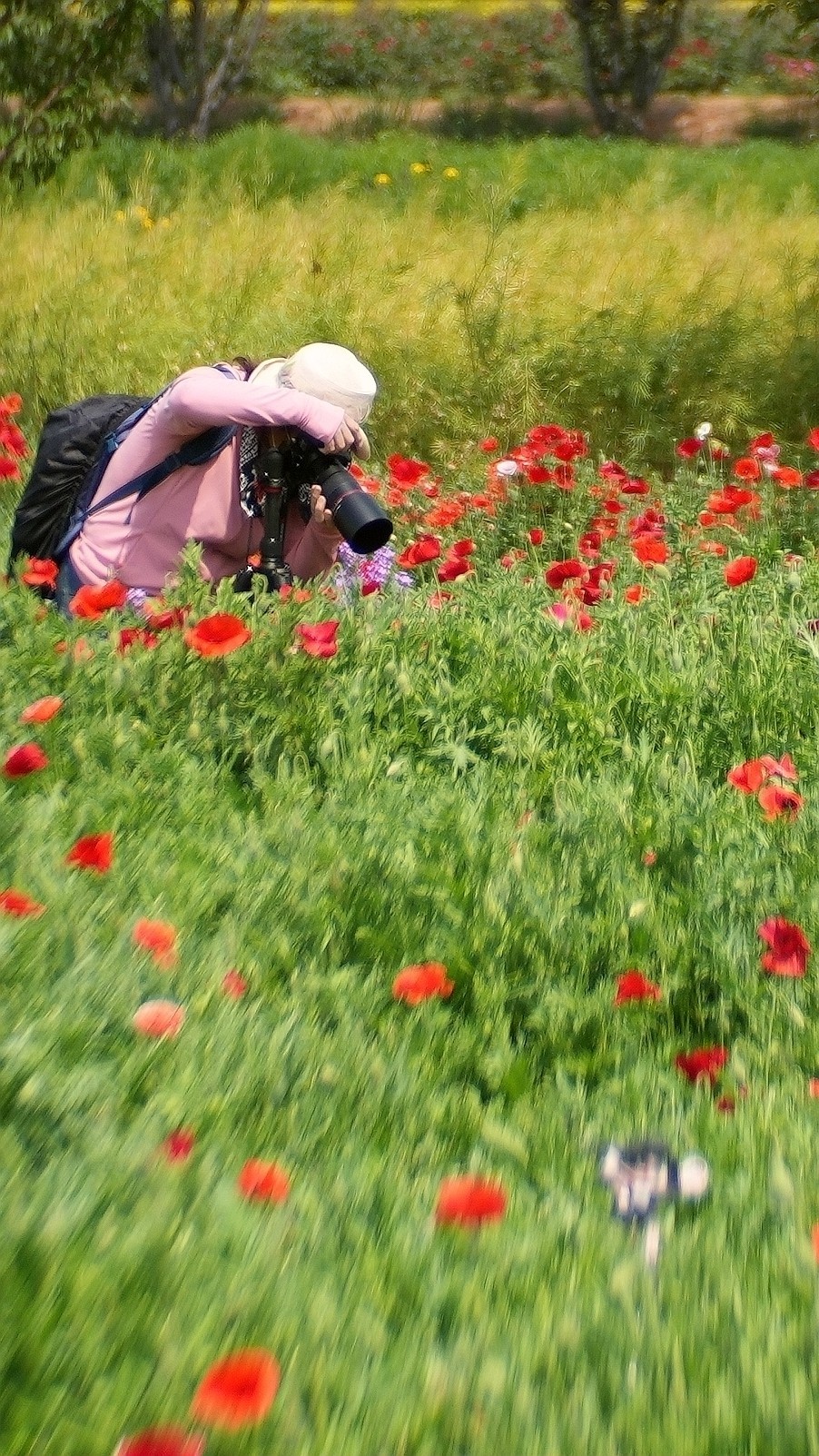 出游君乐宝牧场