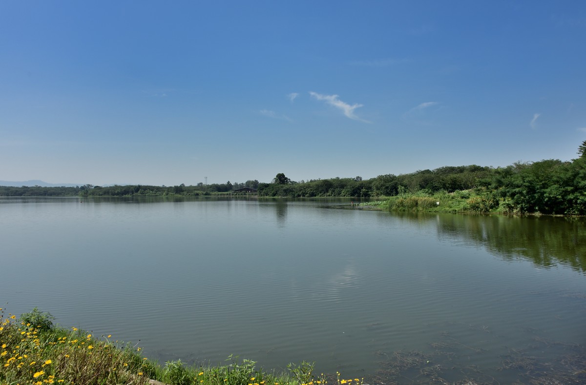 封丘青龙湖湿地公园图片