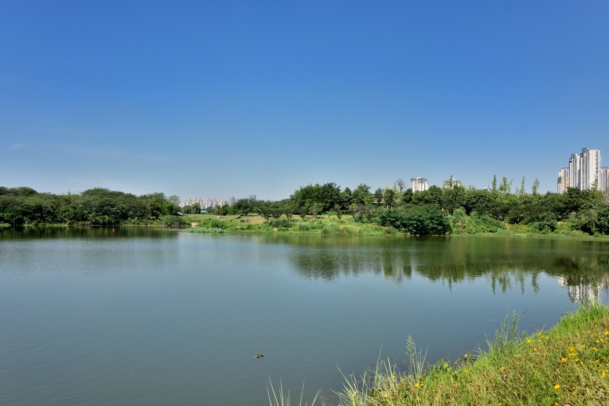 小青龙河湿地公园图片