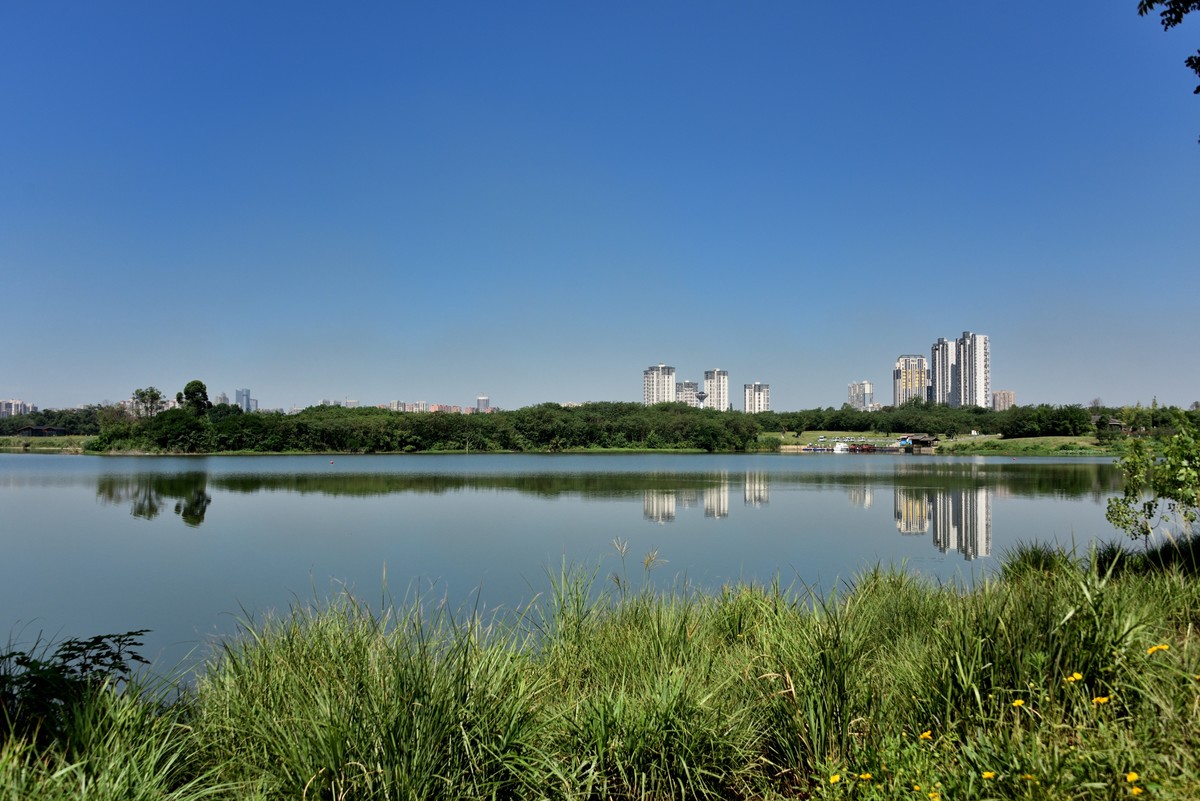 青龙湖生态湿地公园1