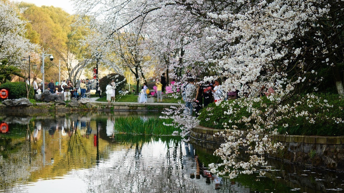 #版主坐堂#索尼大版星空(中国)2022年3月份优秀作品精选汇总