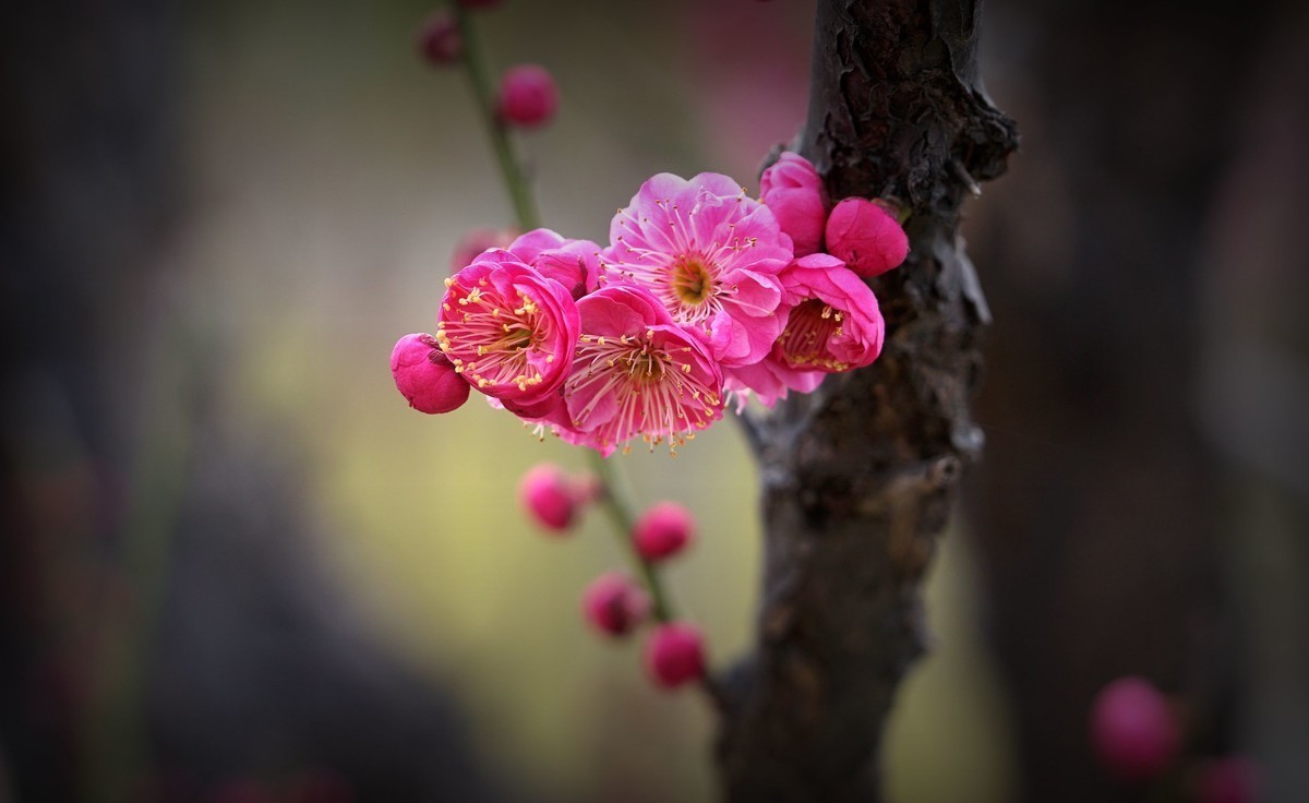 #版主坐堂#索尼大版星空(中国)2022年3月份优秀作品精选汇总