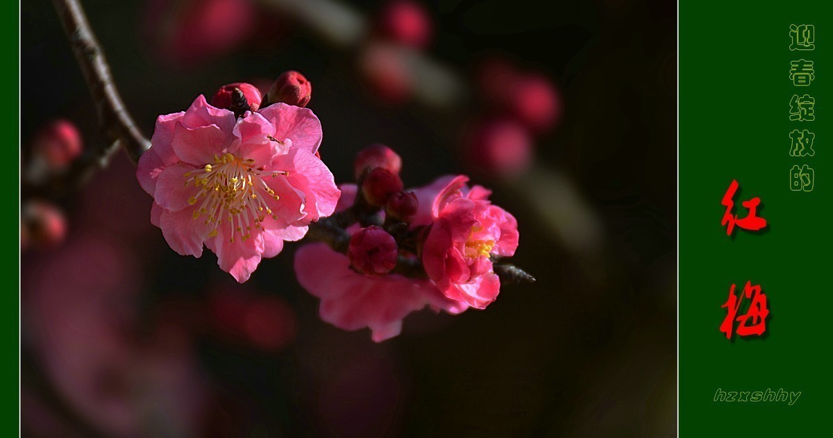 #版主坐堂#索尼大版星空(中国)2022年3月份优秀作品精选汇总