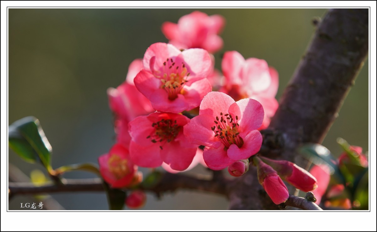 #版主坐堂#索尼大版星空(中国)2022年3月份优秀作品精选汇总