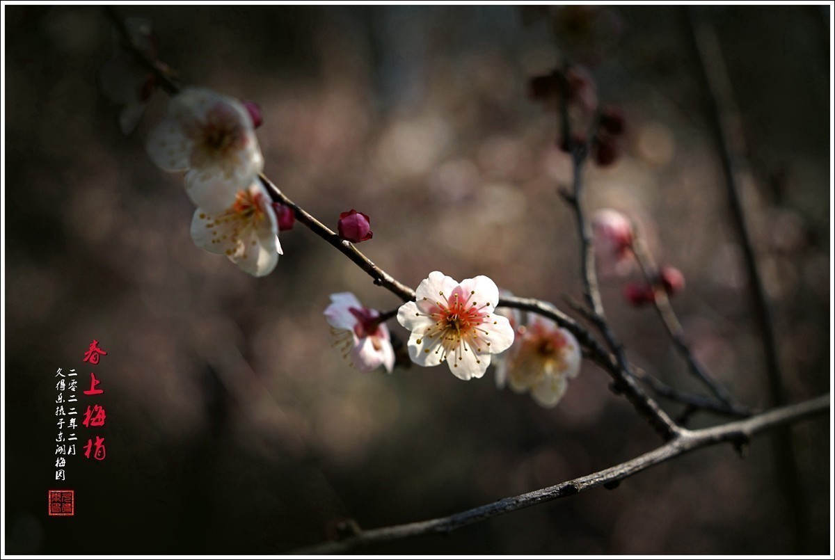 #版主坐堂#索尼大版星空(中国)2022年3月份优秀作品精选汇总