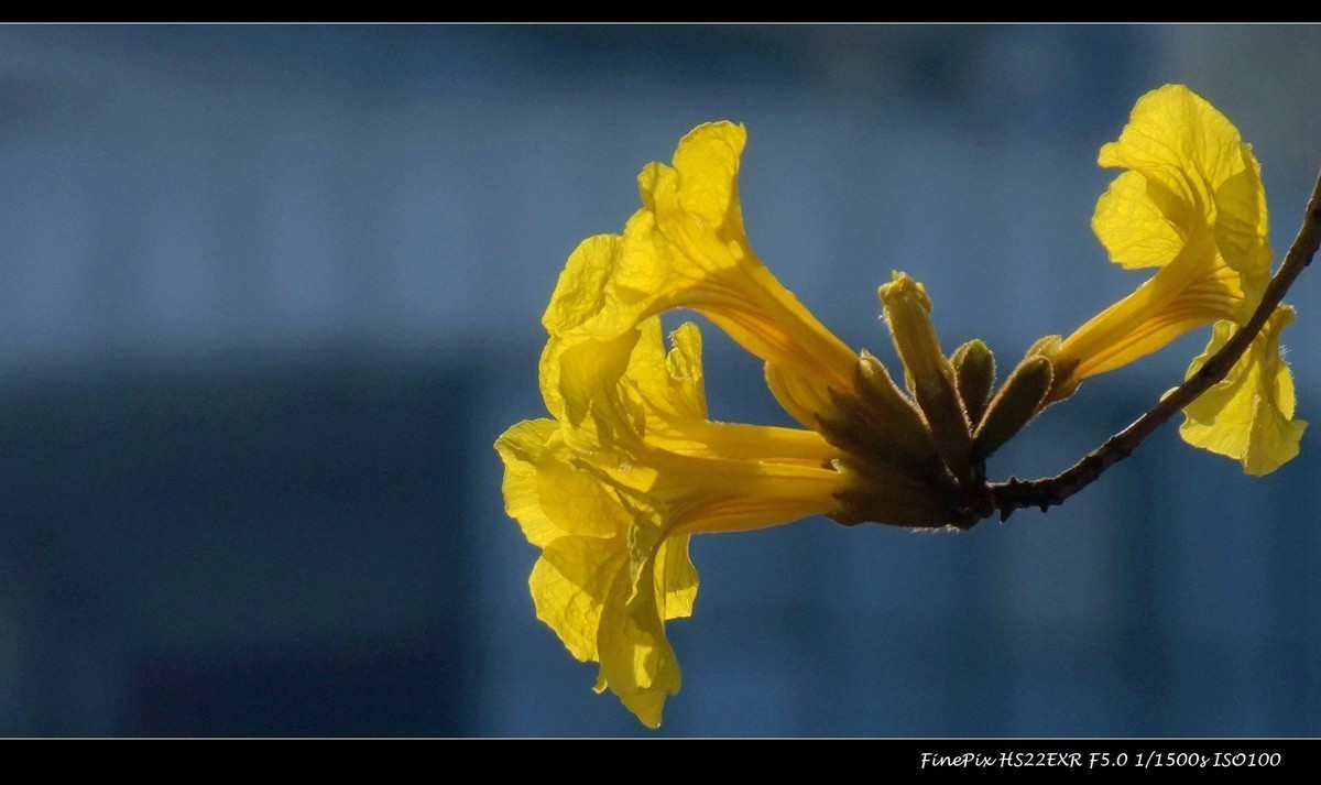 #版主坐堂#索尼大版星空(中国)2022年3月份优秀作品精选汇总