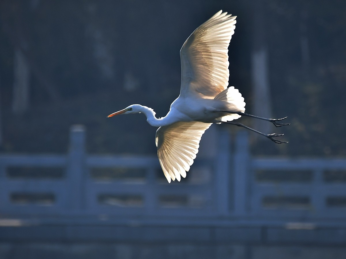 #版主坐堂#索尼大版星空(中国)2022年3月份优秀作品精选汇总