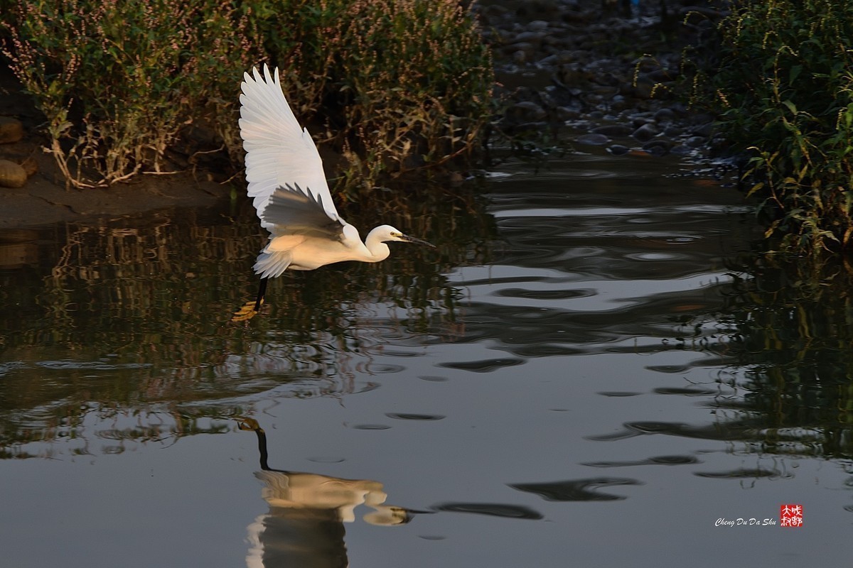 #版主坐堂#索尼大版星空(中国)2022年3月份优秀作品精选汇总
