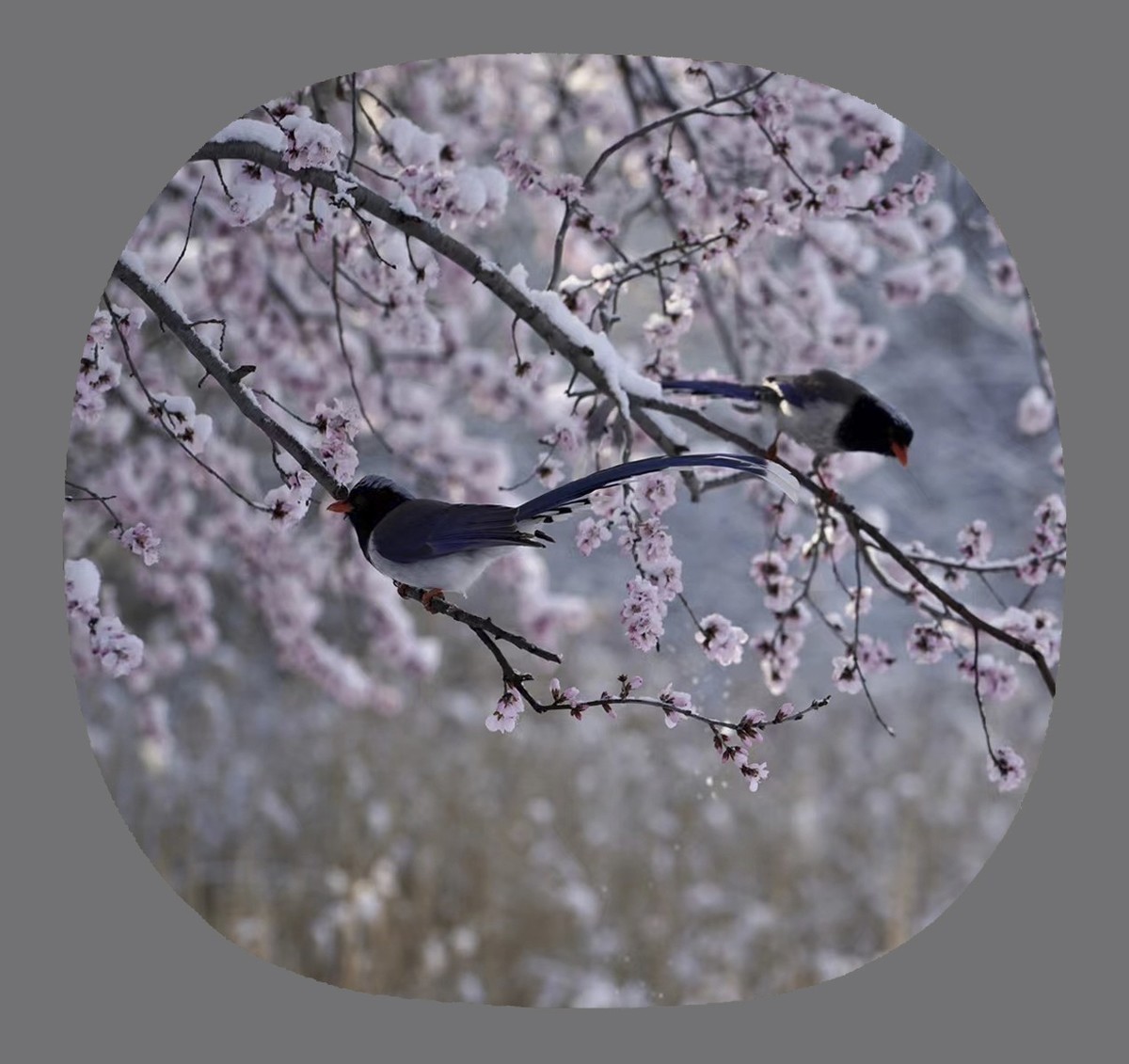 #版主坐堂#索尼大版星空(中国)2022年3月份优秀作品精选汇总